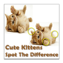 Cute Kittens Difference Game APK