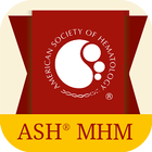 ASHMHM15 icon