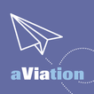 Aviation IM