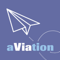 Aviation IM