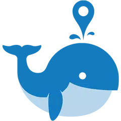 Spout - Anonymous Chat Feed