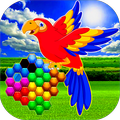 Parrot Hexagon Puzzle Game