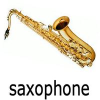 saxophone jeu capture d'écran 2