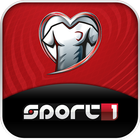 Sport 1 – European Qualifiers icon