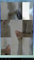 Cats lovely puzzle captura de pantalla 2