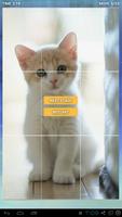 Cats lovely puzzle ảnh chụp màn hình 3