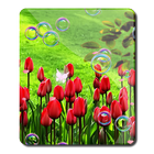 Spring Nature Live Wallpaper-icoon