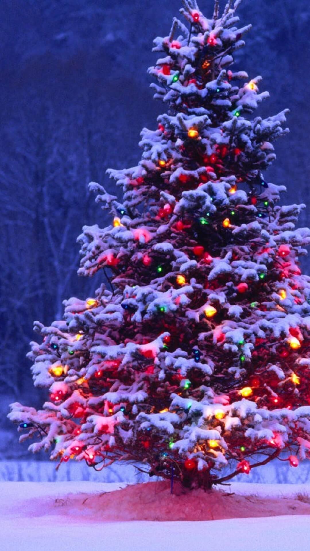 APK Christmas Tree Wallpapers HD untuk Muat Turun Android