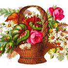 Flowers Art Wallpapers HD icono