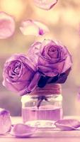 Flowers Beauty Wallpapers 2 HD الملصق