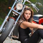 Motorcycle Wallpapers HD icône