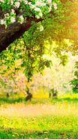 Spring Wallpapers HD plakat