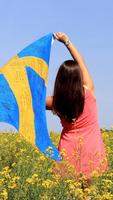 Sweden Wallpapers HD Affiche