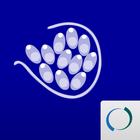 Malaria Journal icon