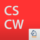 ikon CSCW Journal