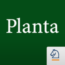 Planta APK