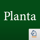 Planta-APK