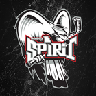 Springfield Spirit Hockey-icoon