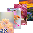 APK Wallpapers Spring 2000+ HD Background image