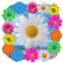 Wiosenne Kwiaty Tapety na Żywo aplikacja
