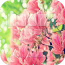 Spring Flowers Keypad Theme aplikacja