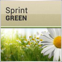 1 Schermata Green Zone