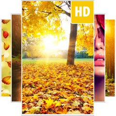 Autumn Wallpapers APK download