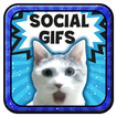 Social Gifs (Live & Share )
