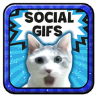 Social Gifs (Live & Share ) icône
