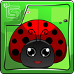 LadyBug Match