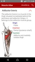 Anatomy: Atlas of Muscles capture d'écran 2