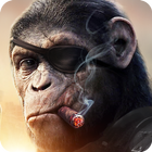 Apes Age أيقونة