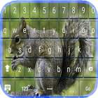 Squirrel Keyboard Fastyping icône