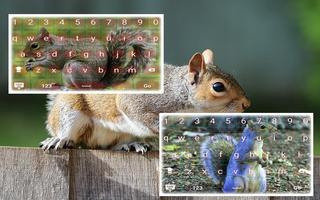Squirrel Keyboard Fastyping Affiche
