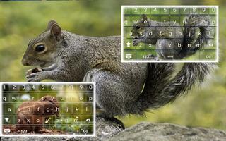Squirrel Keyboard Fastyping capture d'écran 1