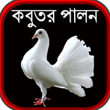 কবুতর পালন ও চিকিৎসা