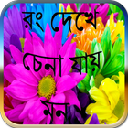 রং দেখে চেনা যায় মন Zeichen