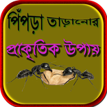 পিঁপড়া তাড়ানোর প্রাকৃতিক উপায়