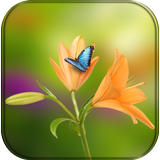 Flower Wallpaper for whatsapp icono
