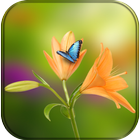 Flower Wallpaper for whatsapp أيقونة