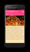 South India Temple Information capture d'écran 1