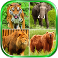 Animal Sounds
