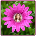 Sunflower Photo Frames আইকন
