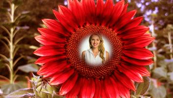 Sunflower Photo Frames স্ক্রিনশট 2