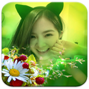 กรอบรูปดอกไม้ แต่งรูปดอกไม้ APK