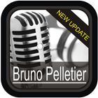 Best of: Bruno Pelletier icon