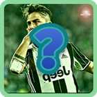 Soccer Stars Puzzle icon