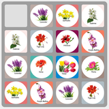 Flower Swap आइकन
