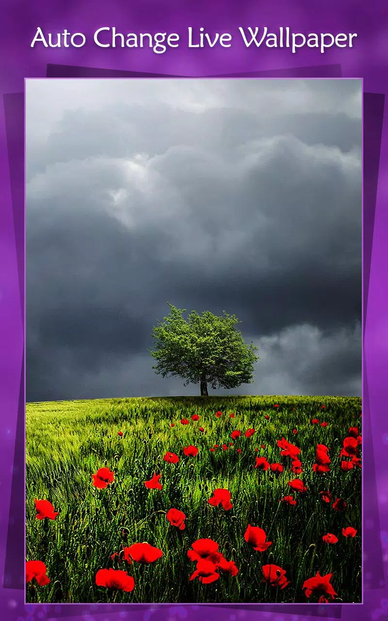 Auto Change Live Wallpaper APK for Android Download Auto Change Live Wallpaper APK for Android Download