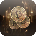 Bitcoin Info